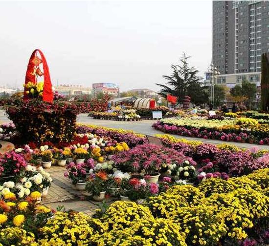 黔南城市菊展设计
